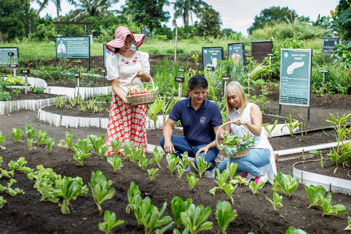 Our Story | Nurture Wellness Village Tagaytay, Philippines