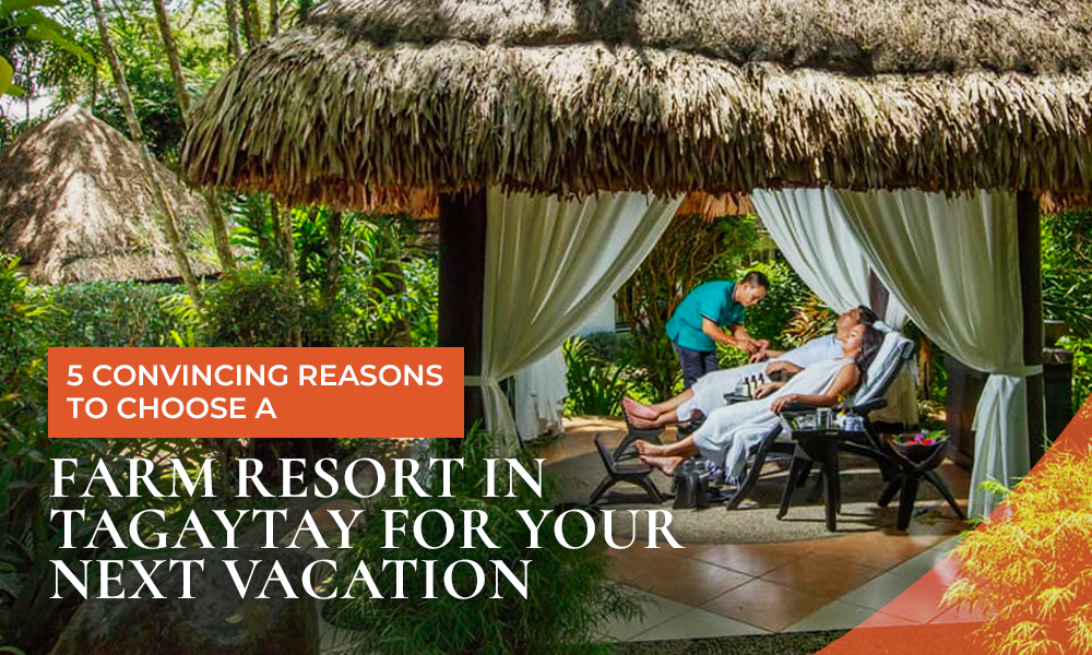 Convincing Reasons to Choose a Farm Resort in Tagaytay for Your Next Vacation